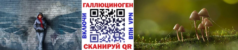 Купить где  Орлов  Псилоцибиновые грибы Magic Shrooms 