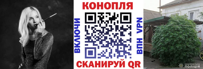 Бошки марихуана OG Kush  Купить  Орлов 